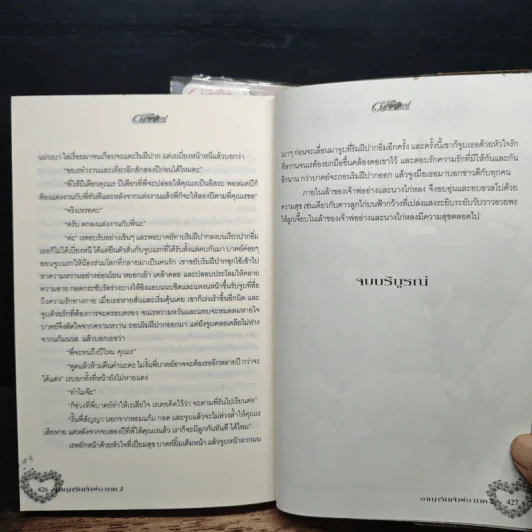 อาญารักเจ้าพ่อ 2 เล่มจบ - Pream รูปที่ 8