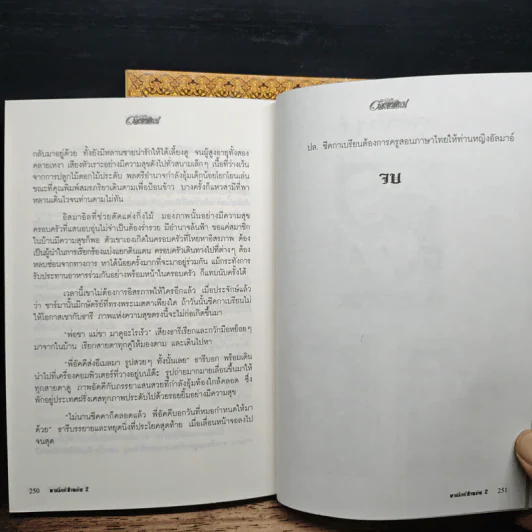 ทาสรักหัวใจทมิฬ 2 เล่มจบ - มุกเรียง รูปที่ 8