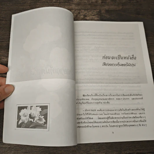 เพียงอยากเห็นดอกไม้บาน - จิตแพทย์วิทยา นาควัชระ รูปที่ 6