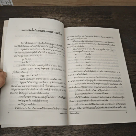 วิธีคลายเครียด - ศ.น.พ.ประเวศ วะสี รูปที่ 8