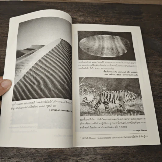 ปัญญารวมหมู่ ฉบับย่อยง่าย : The Perfect Swarm - Len Fisher (เลน ฟิชเชอร์) รูปที่ 7