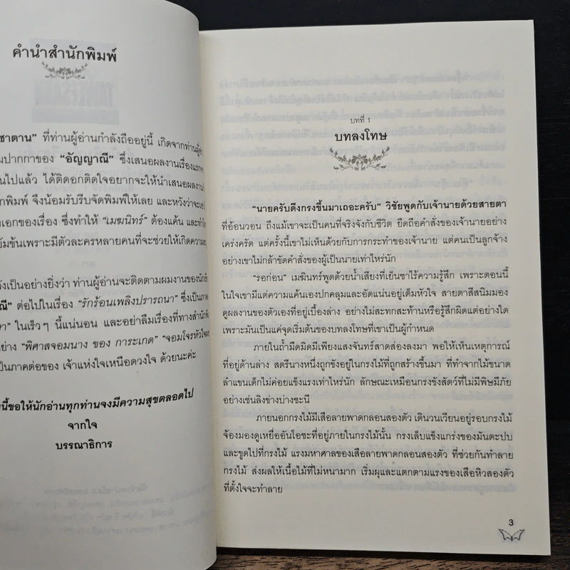 ไฟแค้นซาตาน - อัญญาณี รูปที่ 6