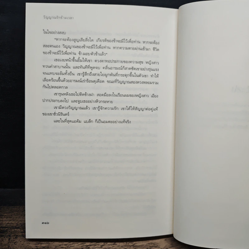 วิญญาณรักข้ามเวลา - คาเรน มารี โมนนิ่ง, ขีดขิน จินดาอนันต์ รูปที่ 8