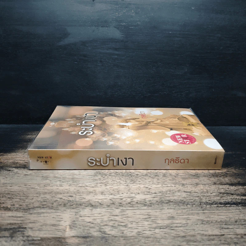ระบำเงา - กุลธิดา รูปที่ 3