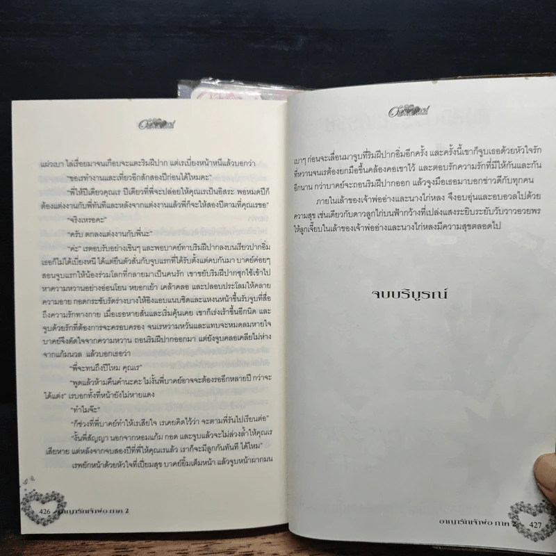 อาญารักเจ้าพ่อ 2 เล่มจบ - Pream รูปที่ 8