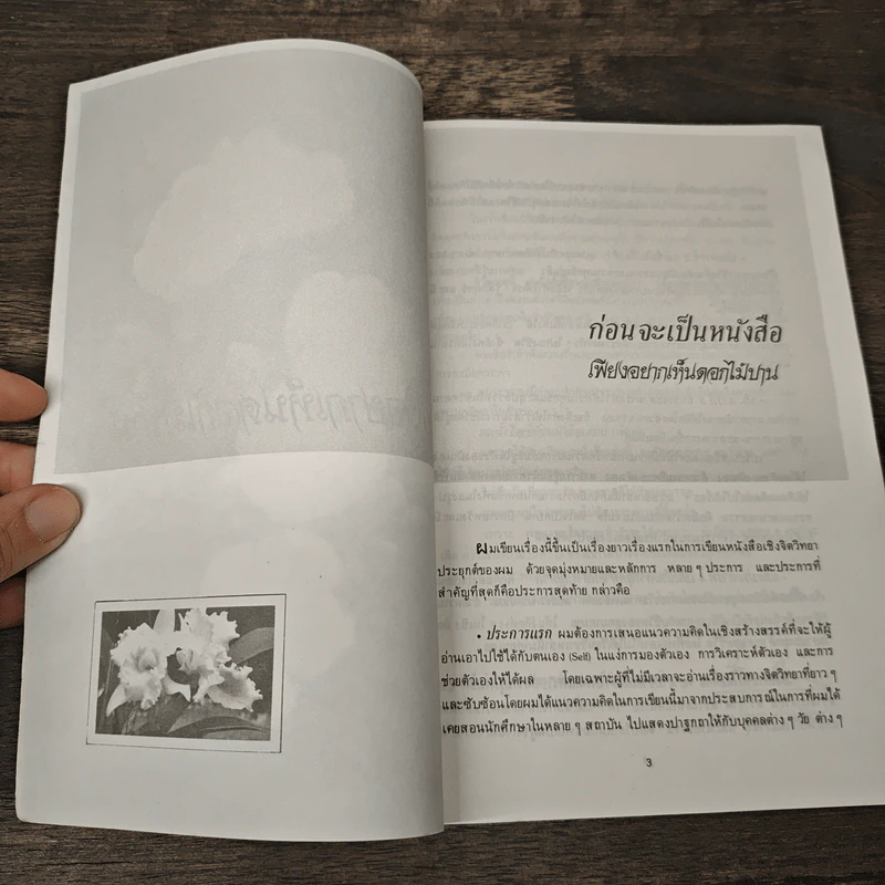 เพียงอยากเห็นดอกไม้บาน - จิตแพทย์วิทยา นาควัชระ รูปที่ 6