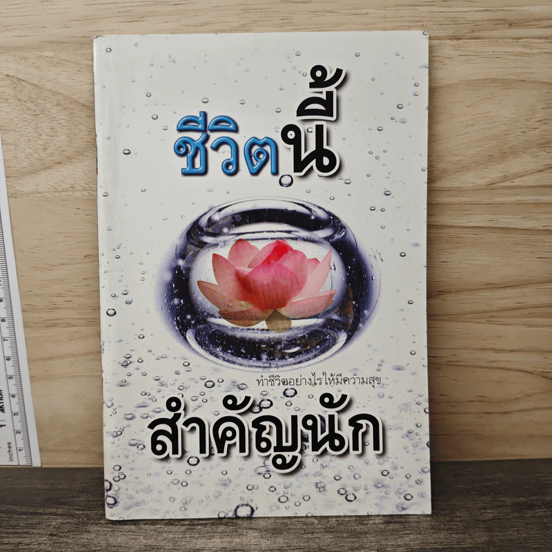 ชีวิตนี้สำคัญนัก ทำชีวิตอย่างไรให้มีความสุข รูปที่ 1