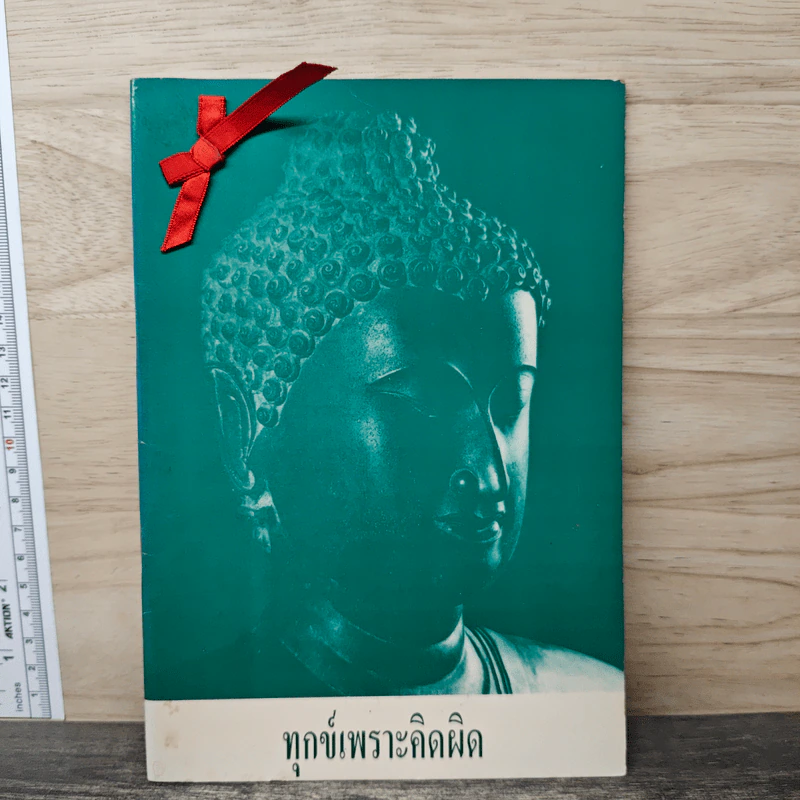 ทุกข์เพราะคิดผิด - พระอาจารย์มิตซูโอะ คเวสโก รูปที่ 1