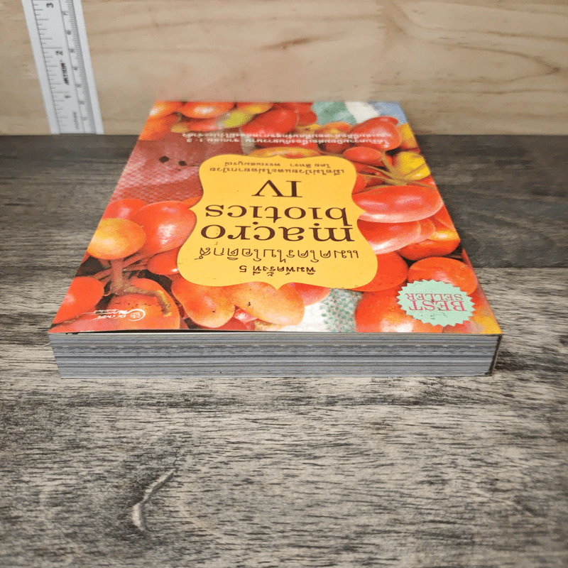 Macrobiotics แมคโครไบโอติกส์ IV - สิทรา พรรณสมบูรณ์ รูปที่ 4