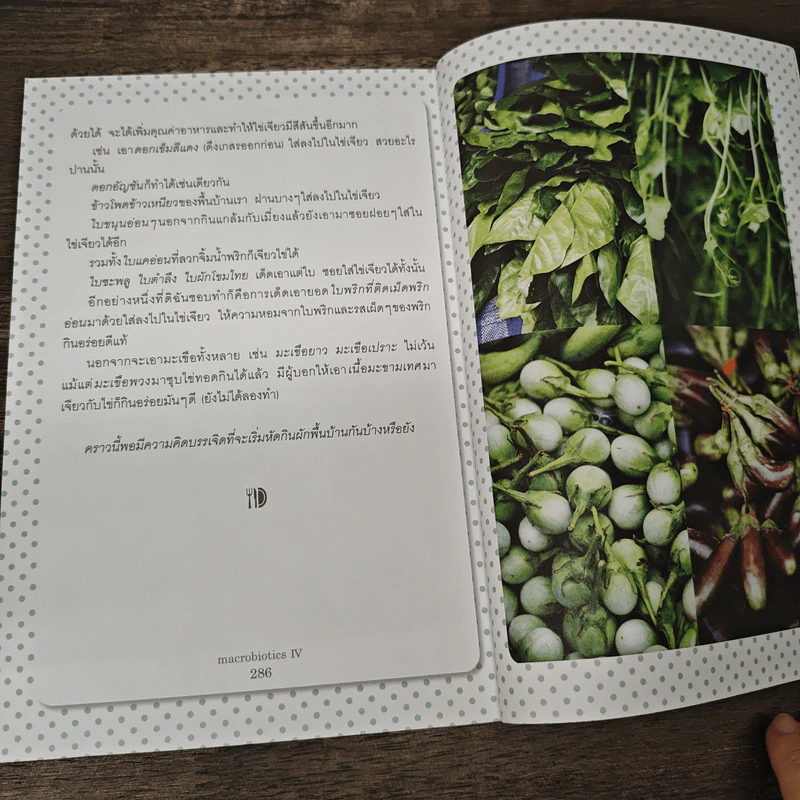 Macrobiotics แมคโครไบโอติกส์ IV - สิทรา พรรณสมบูรณ์ รูปที่ 8
