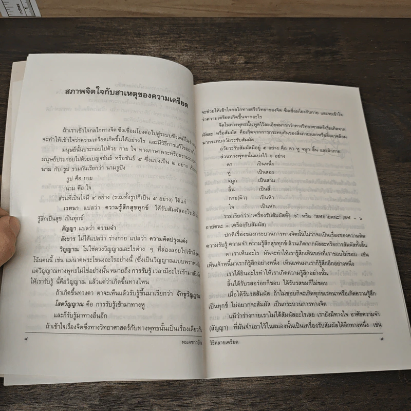 วิธีคลายเครียด - ศ.น.พ.ประเวศ วะสี รูปที่ 8