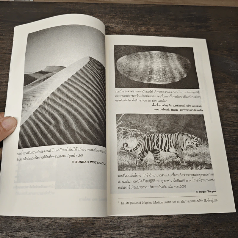 ปัญญารวมหมู่ ฉบับย่อยง่าย : The Perfect Swarm - Len Fisher (เลน ฟิชเชอร์) รูปที่ 7