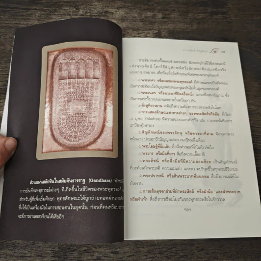 ร่วมค้นหาใบหน้าพระพุทธเจ้า รูปที่ 7