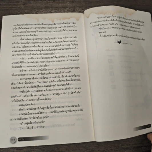 ผลาญ เล่ม 5 - เชียนซานฉาเค่อ (Qian Shan Cha Ke) รูปที่ 8