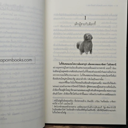 Lincorn Diary ภาคพิเศษของเซวีน่ามหานครแห่งมนตรา 2 เล่มจบ - กัลฐิดา รูปที่ 7