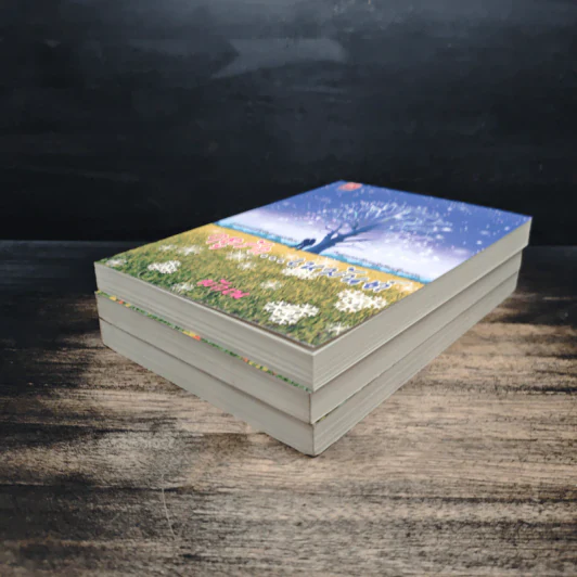 Boxset ฤดูรัก Love Season รูปที่ 8