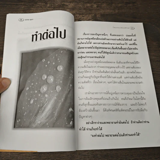โคมทองส่องชีวิต - ชยากร ตุลยา รูปที่ 9