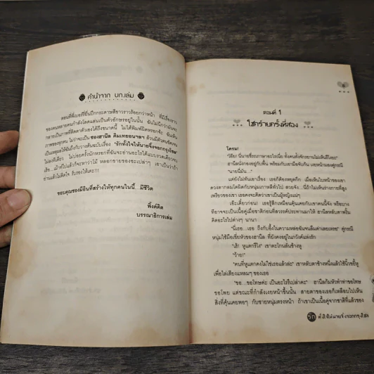 รักทั้งใจให้นายจิ้งจอกกรุงโซล - ซอง มีอิน รูปที่ 6