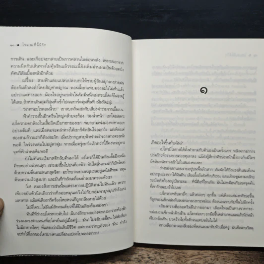 โรม ณ ที่นี้มีรัก - ลัลล์ลลิล รูปที่ 8