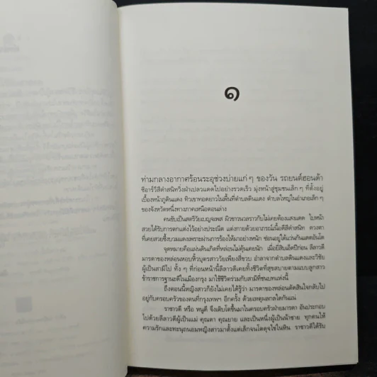 ฝากรักไว้กับสายลม - ตันหยง รูปที่ 7