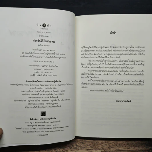 ฝากรักไว้กับสายลม - ตันหยง รูปที่ 6