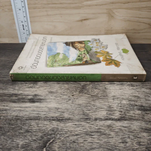 อ้อมกอดของสายหมอก - bookmark รูปที่ 2