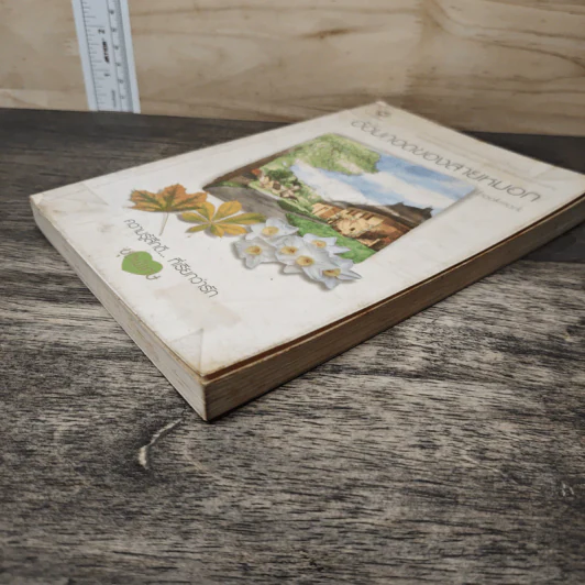 อ้อมกอดของสายหมอก - bookmark รูปที่ 3