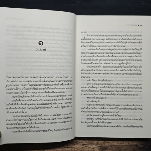 เพชรไร้กะรัต - นวตา รูปที่ 8