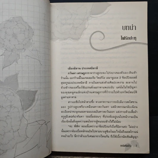 เพลิงรักสีรุ้ง - โรสิตา รูปที่ 7