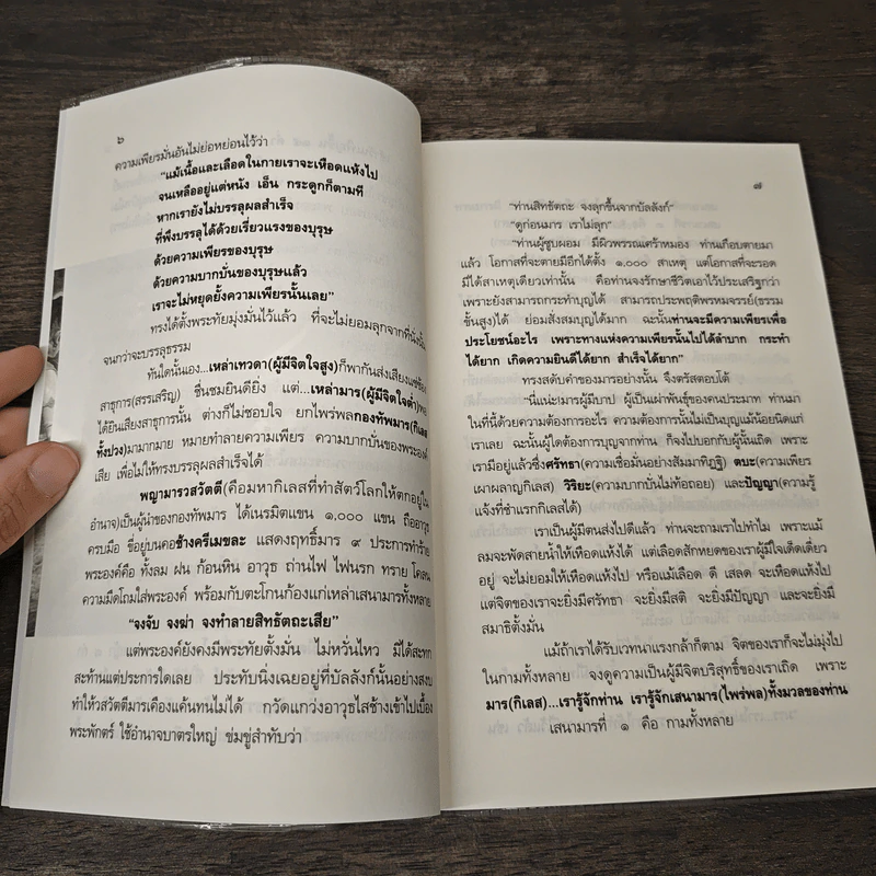 พุทธวิธีพิชิตมาร รูปที่ 8