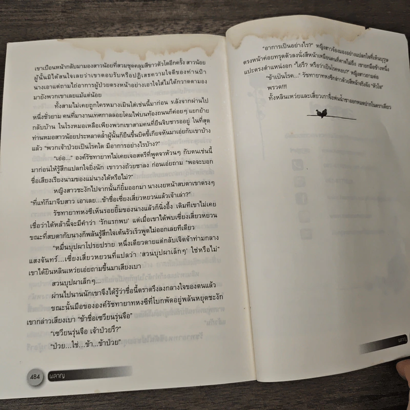 ผลาญ เล่ม 5 - เชียนซานฉาเค่อ (Qian Shan Cha Ke) รูปที่ 8