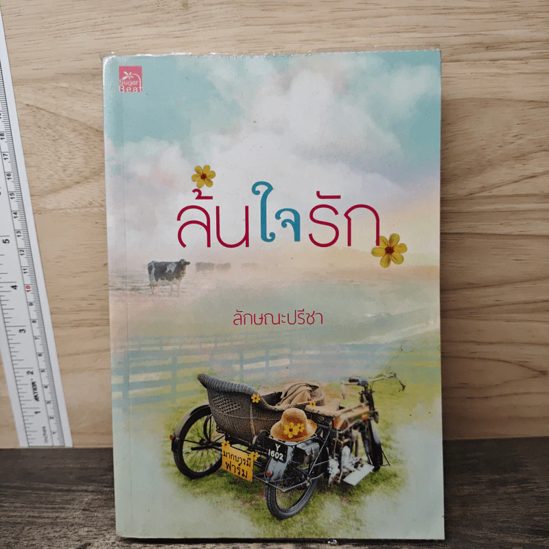 ล้นใจรัก - ลักษณะปรีชา รูปที่ 1