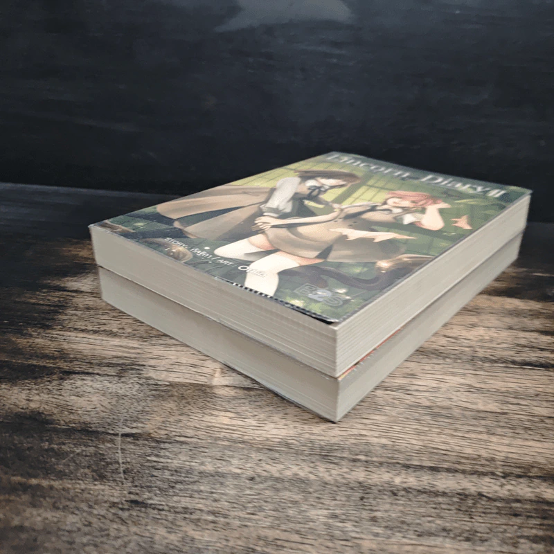 Lincorn Diary ภาคพิเศษของเซวีน่ามหานครแห่งมนตรา 2 เล่มจบ - กัลฐิดา รูปที่ 4