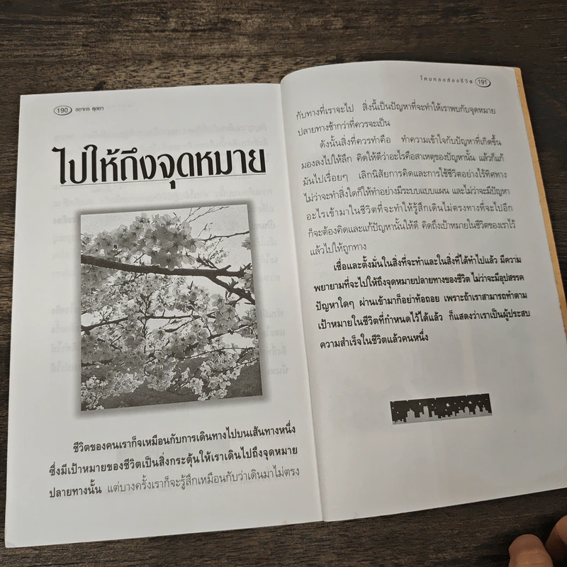 โคมทองส่องชีวิต - ชยากร ตุลยา รูปที่ 10