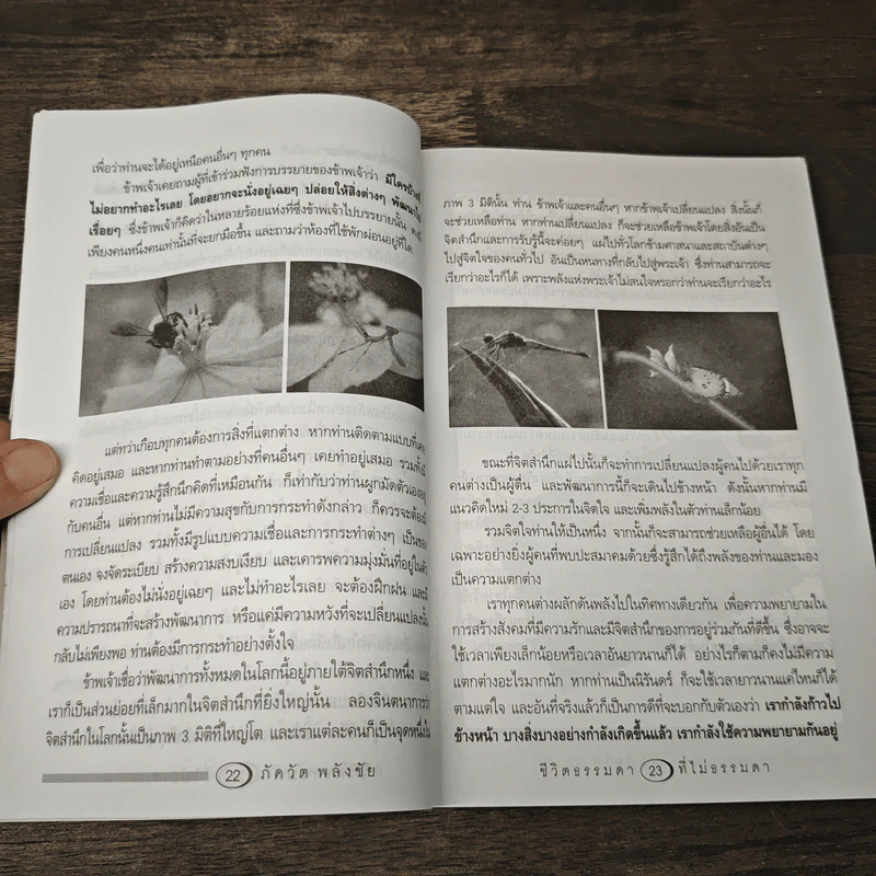 ชีวิตธรรมดาที่ไม่ธรรมดา - อ.ภัควัต พลังชัย รูปที่ 8