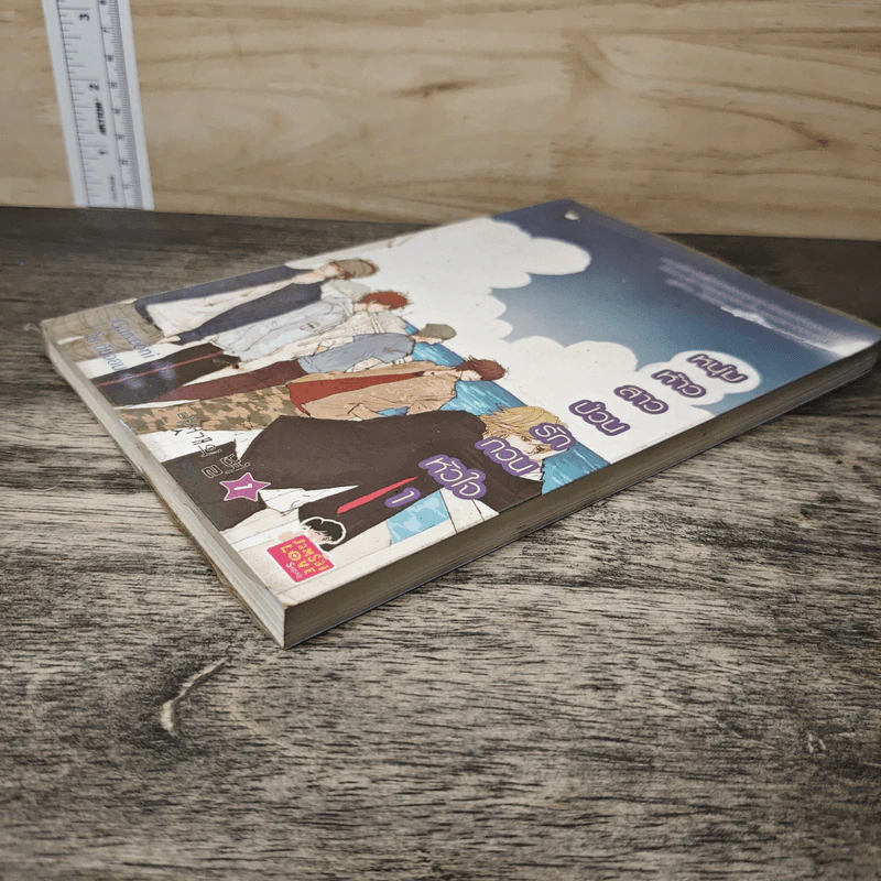 หนุ่มห้าวสาวป่วน รักกวนหัวใจ เล่ม 1 - Guiyeoni รูปที่ 3