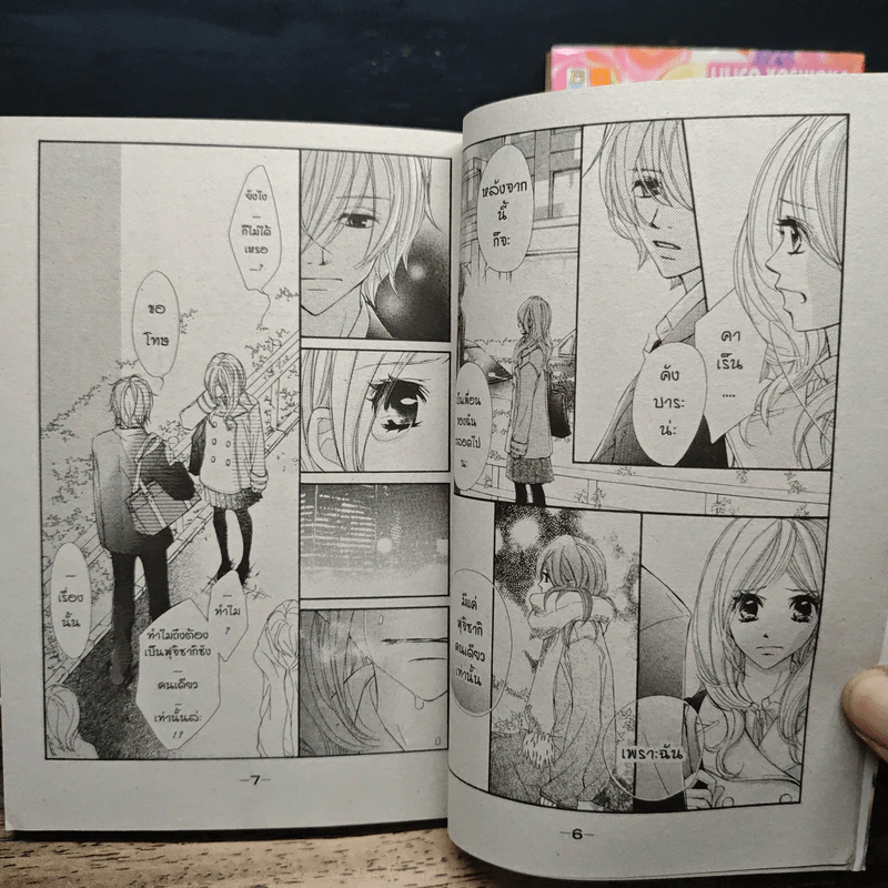 หลงรักหนุ่มข้างโต๊ะ 7 เล่มจบ + Plus - Ririko Yoshioka รูปที่ 8