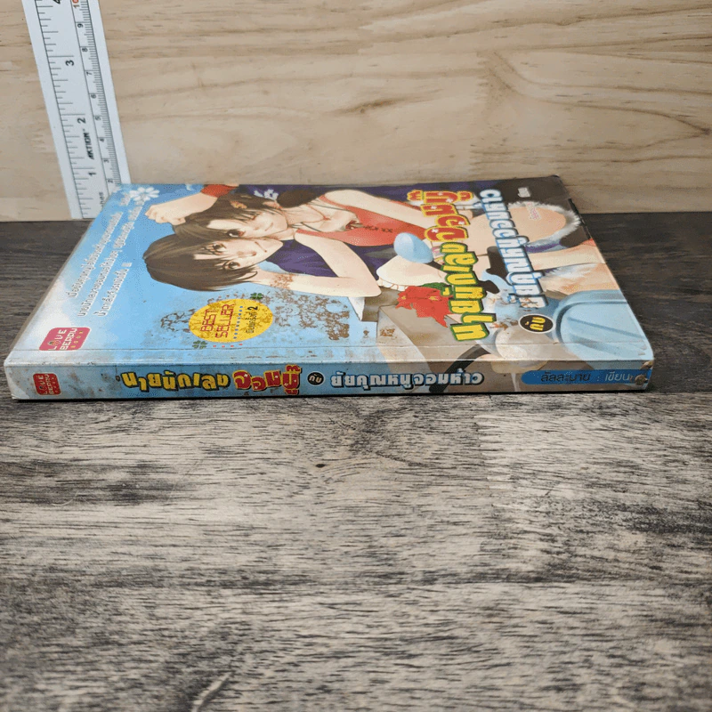 นายนักเลงจอมบู๊กับยัยคุณหนูจอมห้าว - ลัลละบาย รูปที่ 2