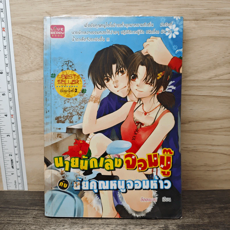 นายนักเลงจอมบู๊กับยัยคุณหนูจอมห้าว - ลัลละบาย รูปที่ 1