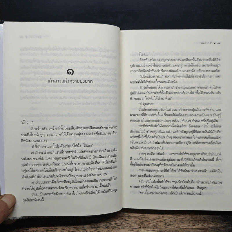 วิวาห์ในม่านรัก - ฉัตรเกล้า รูปที่ 8