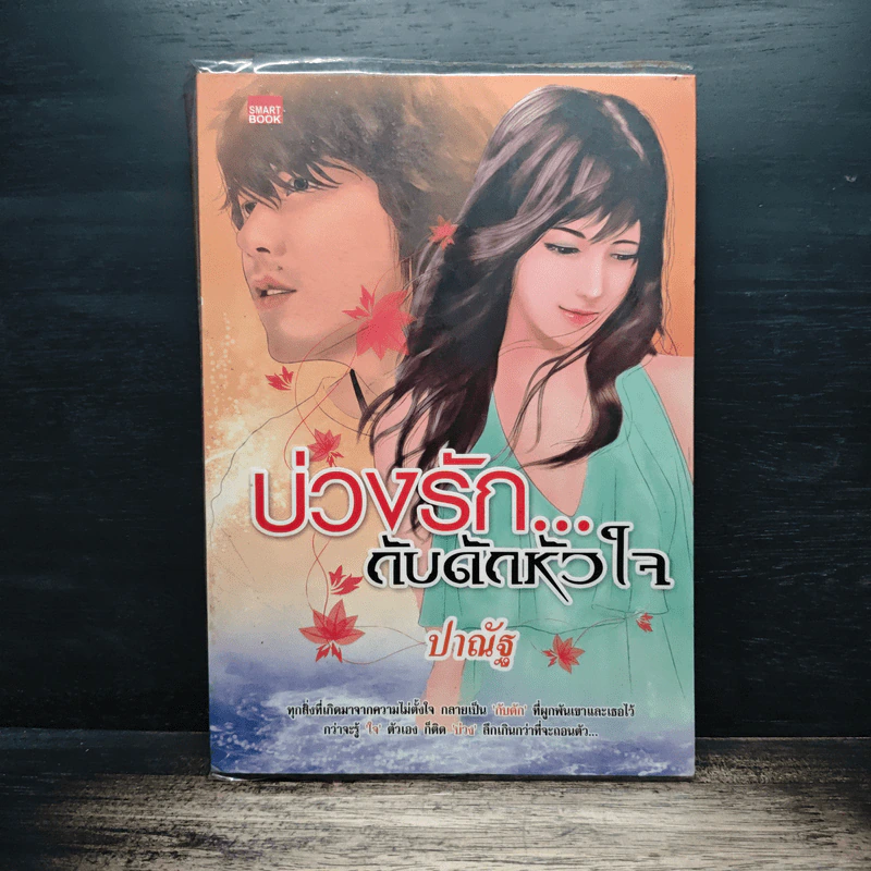 บ่วงรักกับดักหัวใจ - ปาณัฐ รูปที่ 1