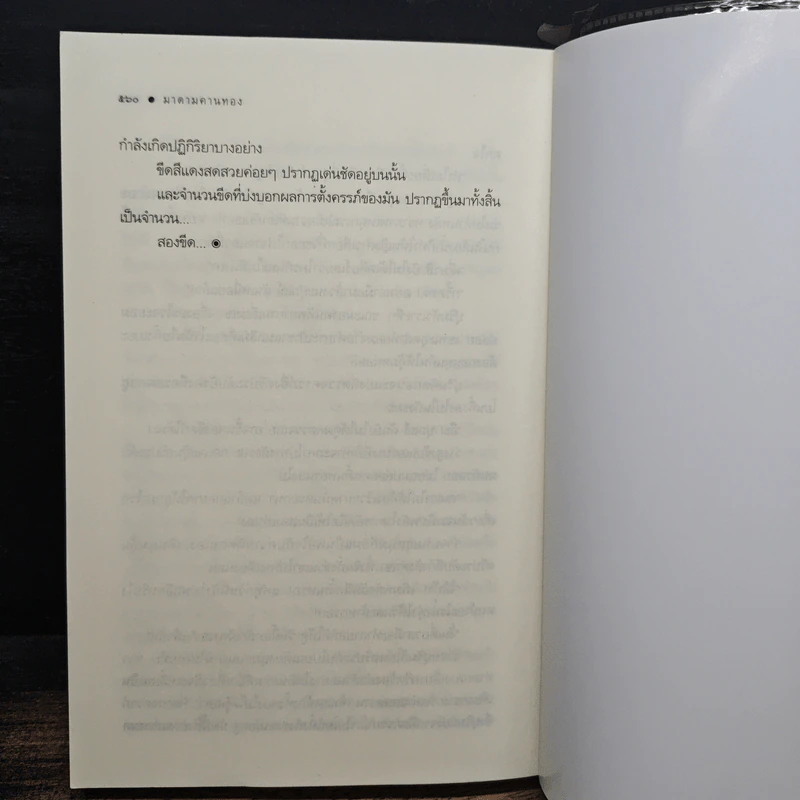 มาดามคานนทอง - เฌอมา รูปที่ 8
