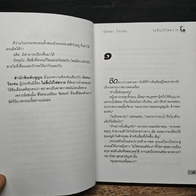 ไม่สิ้นไร้ ไฟสวาท - นันทนา วีระชน รูปที่ 7