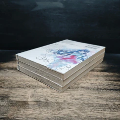 THE PERFECT ROSE เดอะเพอร์เฟกต์ โรส 3 เล่มจบ รูปที่ 3