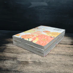 ROOM วิมานแห่งรัก 3 เล่มจบ - Aya Oda รูปที่ 3