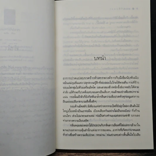 มนตร์อัปสรา - อรพิม รูปที่ 7