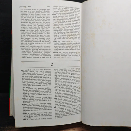 The Oxford Desk Thesaurus รูปที่ 8
