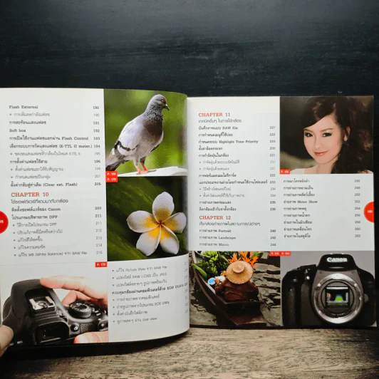 เริ่มถ่ายด้วย Canon DSLR รูปที่ 10
