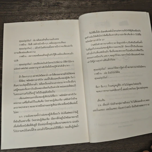 พยัคฆ์สาวล่าหัวใจ - เตี่ยนซิน รูปที่ 8
