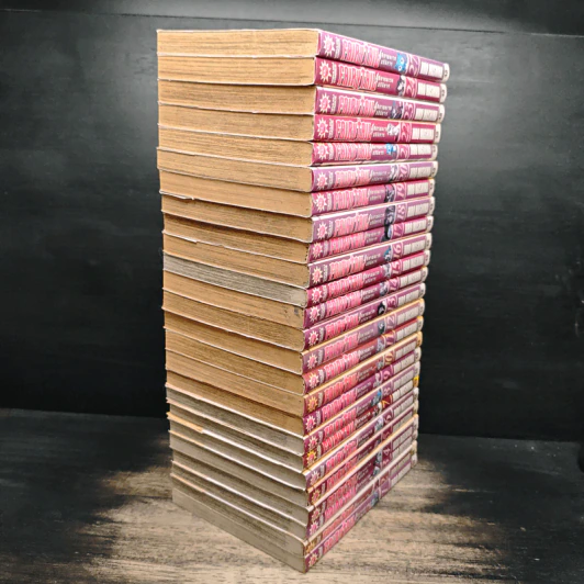 Fairy Tail แฟรี่เทล ศึกจอมเวทอภินิหาร เล่ม 1-24, 27 รูปที่ 4